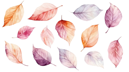 Collection of watercolor autumn leaves in gentle pastel colors, for artistic or romantic design elements, isolated on a transparent background.