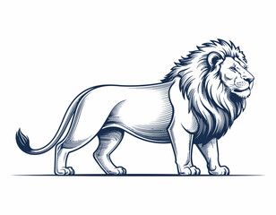 A beautifully detailed illustration of a lion standing confidently, symbolizing strength, courage, and the majestic presence they hold in the wildlife and nature realms.