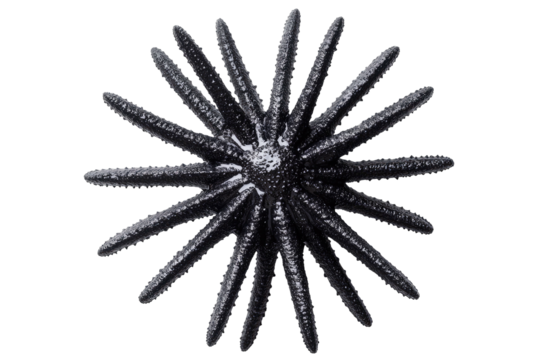 Dark star-shaped object with pointed rays emanating from a central sphere