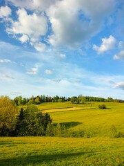 Sunny green countryside with lush fields and gentle hills illuminated by golden sunlight.