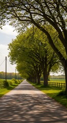 Sun-Dappled Road - A Serene Pathway Through Lush Greenery.