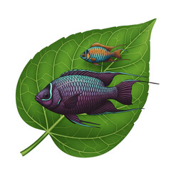 Vibrant Fish & Beetle on Leaf on transparent background