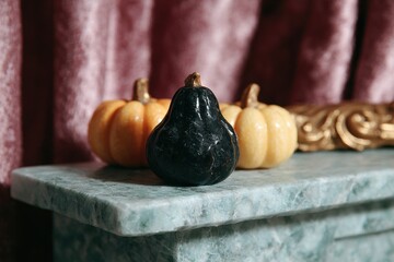Decorative Black Pumpkin on Green Marble Surface with Orange Gourds