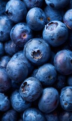 Fresh Blueberries Gathered Together in a Natural Setting During Daylight