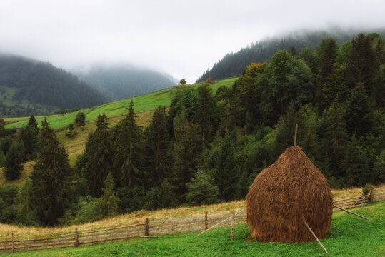 Idylic foggy rural mountain landscape in Carpathians. Traditional haystacks standing on a green pasture overlooking misty  hills  covered with forest and rural settlements in the distant background.