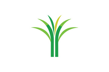 Fototapeta premium Minimalist futuristic sugar cane plant design