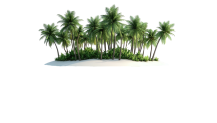 Isolated sandy island with lush palm trees and tropical vegetation