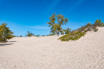 Man Hiking on Sandbanks Provincial Park Dunes Beach on a Sunny Day in Autumn