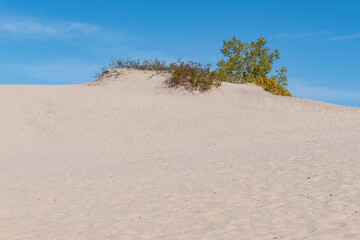 Sandbanks Provincial Park Dunes Beach on a Sunny Day in Autumn