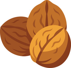 walnut pieces clip art on transparent background