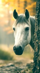 horse peeking from behind tree in autumn forest