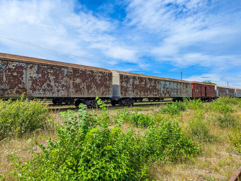 Old freight train on abandoned railway tracks with green vegetation in Zhytomyr Ukraine showing disused cargo transportation infrastructure in rural summer landscape. High quality photograph