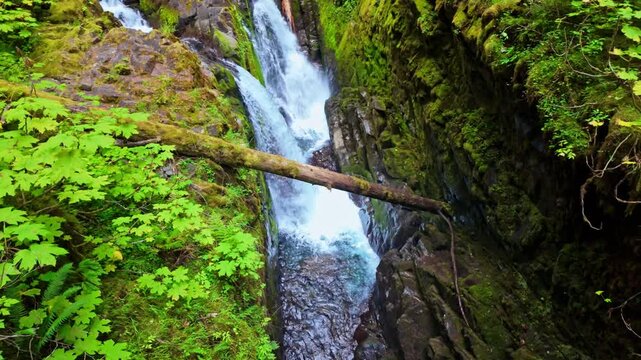 A scenic view of the powerful Sol Duc Falls cascading dramatically on a bright summer day in Olympic National Park