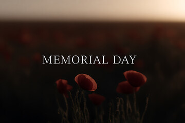 memorial day tribute, serene cinematic shot of a red poppy field at dawn, golden sunlight casting long shadows, with a waving usa flag and memorial day text in elegant font
