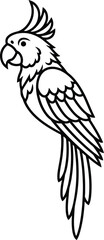 Elegant Cockatoo Perched Contour Drawing - Bird Line Art Illustration Graphic Isolated on Transparent Background Animal Outline Artwork Vector Graphics