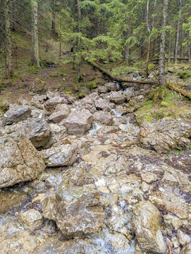 Dry rocky streambed with scattered boulders in sparse forest clearing in Tatra Mountains National Park Zakopane Poland. High quality photograph