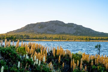 lake in the mountains