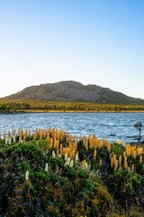 view of the lake from the mountain