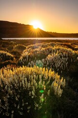 sunset over the lake