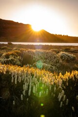 sunset over the lake