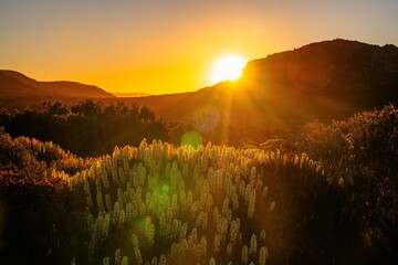 sunset in the mountains