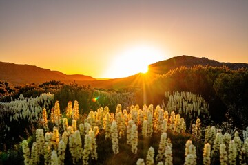 sunset in the mountains