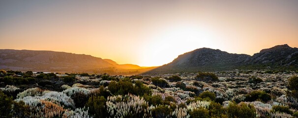 sunset in the mountains