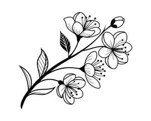 Elegant Cherry Blossom Branch Illustration Black and White Floral Design for Invitations and Botanical Art Projects