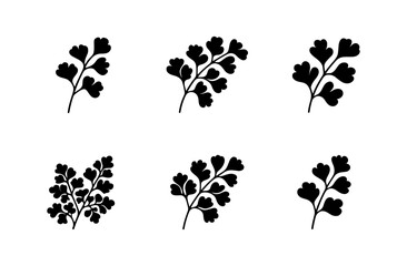 Maidenhair fern icons set for botanical designs and nature projects