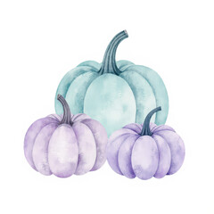 pumpkin isolated on white background