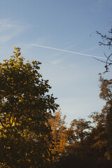  A clear, bright blue sky with a faint wispy cloud is bisected by a sharp white contrail from an airplane.