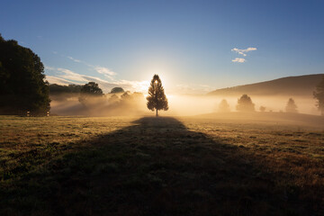 alba meravigliosa al centro equestre di Pratoni del vivaro. Roma