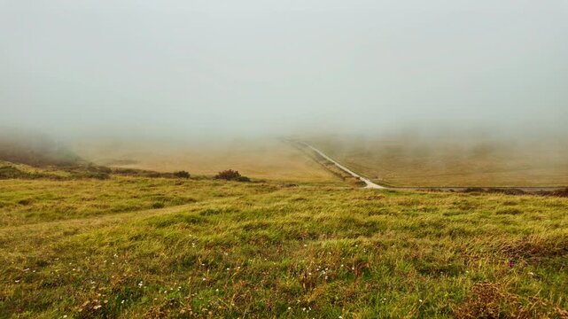 The stunning cliffs of Eastbourne enshrouded in mist, East Sussex, England, UK, with chalk faces fading into low cloud along the Channel coast