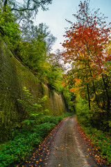 Fototapeta premium Narrow dirt path winding along a massive historic stone wall and vibrant autumn trees with red and orange leaves under a soft light of a seasonal day creating a quiet forest scenery.