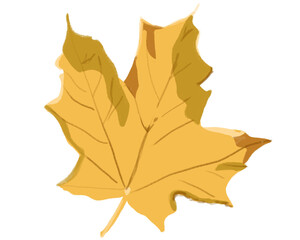 Hoja seca amarillenta