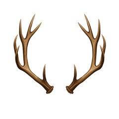 Fototapeta premium Symmetrical Deer Antlers – Symbol of Nature, Strength, and Wild Elegance