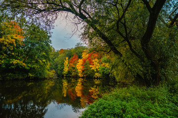 View through dark tree branches of a vibrant autumn forest with brilliant red and yellow maple trees reflected in a calm river under a soft sky creating a natural seasonal frame.