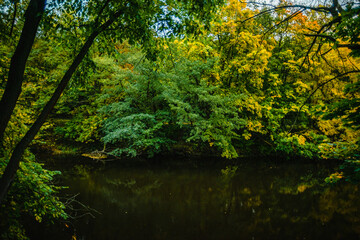 Wide landscape of a dark river reflecting a dense autumn forest with vibrant yellow and green foliage under a soft overcast sky during a peaceful seasonal day in the quiet countryside.