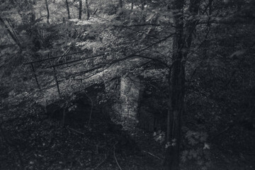 Mysterious black and white view of an old stone bridge hidden in a dark forest with lush vegetation and dramatic shadows creating a haunting landscape. © Aleksandr Riabinin