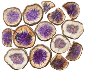 Sliced purple radishes showing inner rings