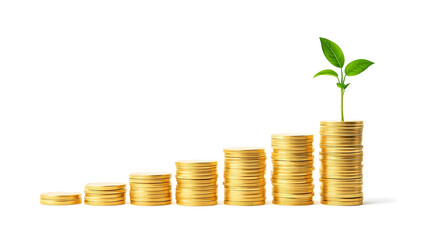 Stacks of gold coins with a growing plant on white background