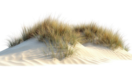 Sand dune covered with dry grass under bright sunlight, isolated image