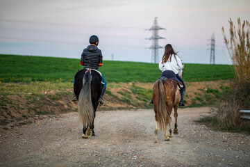 Two friends enjoying a peaceful horseback ride through the countryside, connecting with nature and each other on a serene afternoon adventure