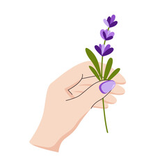 Vector illustration of a hand holding a lavender sprig. Minimal design for natural cosmetics, skincare branding, wellness products, herbal packaging.