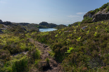 Coastal heathland, Solund, Vestland, Norway