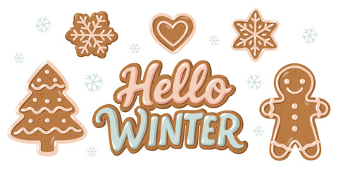 Hand drawn winter cookies set with gingerbread man, heart, tree and snowflakes. Cartoon vector illustration on white background. 