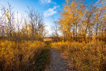 Beaver Creek Conservation Area in Autumn