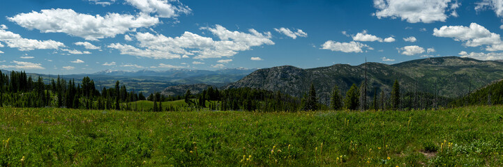 Panorama Of Open Meadow Along Buffalo Plateau Trail In Yellowstone