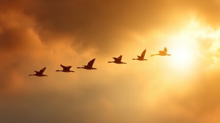 Obraz premium Majestic Flock of Birds Flying in a Beautiful Sunset Sky with Vibrant Colors and Dramatic Clouds Illuminated by Warm Sunlight