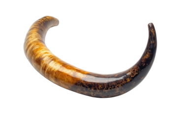 Polished horn in a crescent shape with brown and yellow gradients